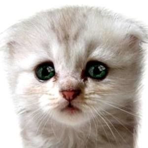 Meet your Posher, Trina